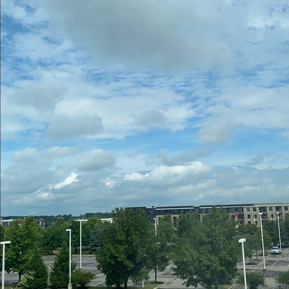 Meet your Posher, Elia - Picture 1 of 1